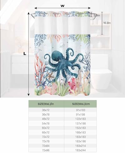 Sequential Rainbow Starfish Overlooking Windows