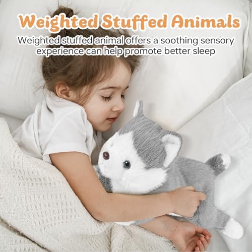 Sensory Huggie for Your Dog