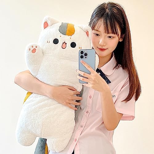Playful Cat Companion
