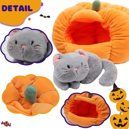Funny Halloween Cat Pumpkin Playset