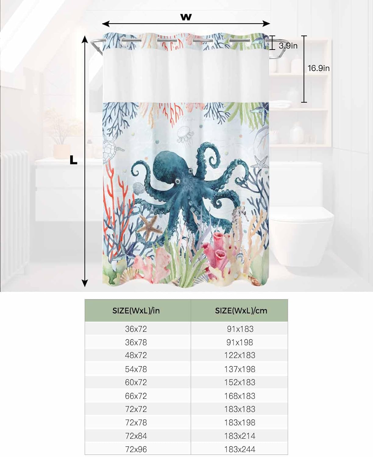 Sequential Rainbow Starfish Overlooking Windows
